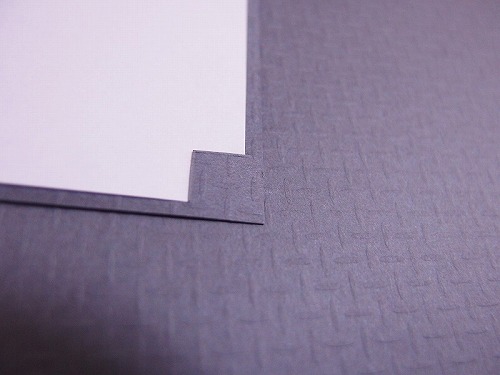 P9150001-s-s.jpg
