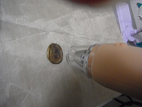 a-DSCF2489.jpg